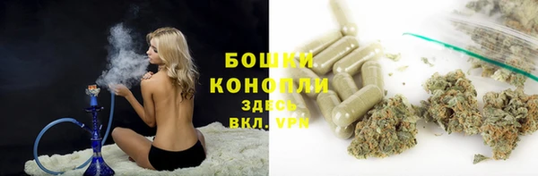 мет Дмитров