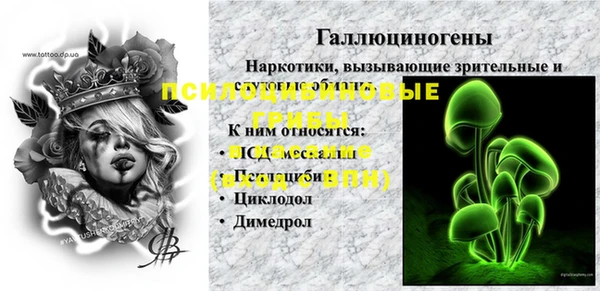 мдпв Дмитровск