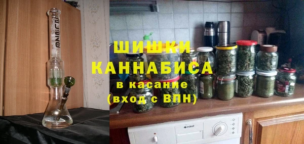 мет Дмитров