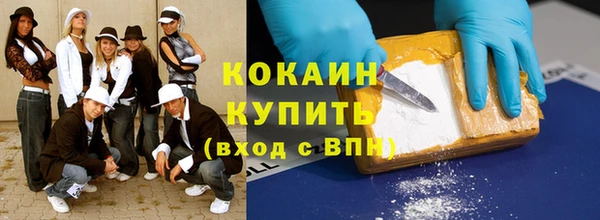 мет Дмитров
