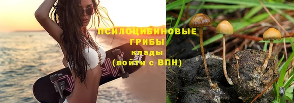 мдпв Дмитровск