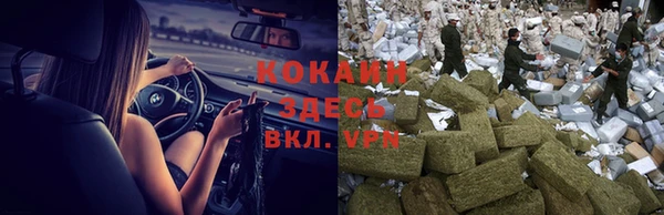 мет Дмитров