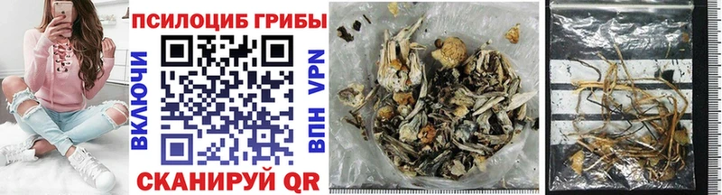 Псилоцибиновые грибы Psilocybe Купить где Куртамыш